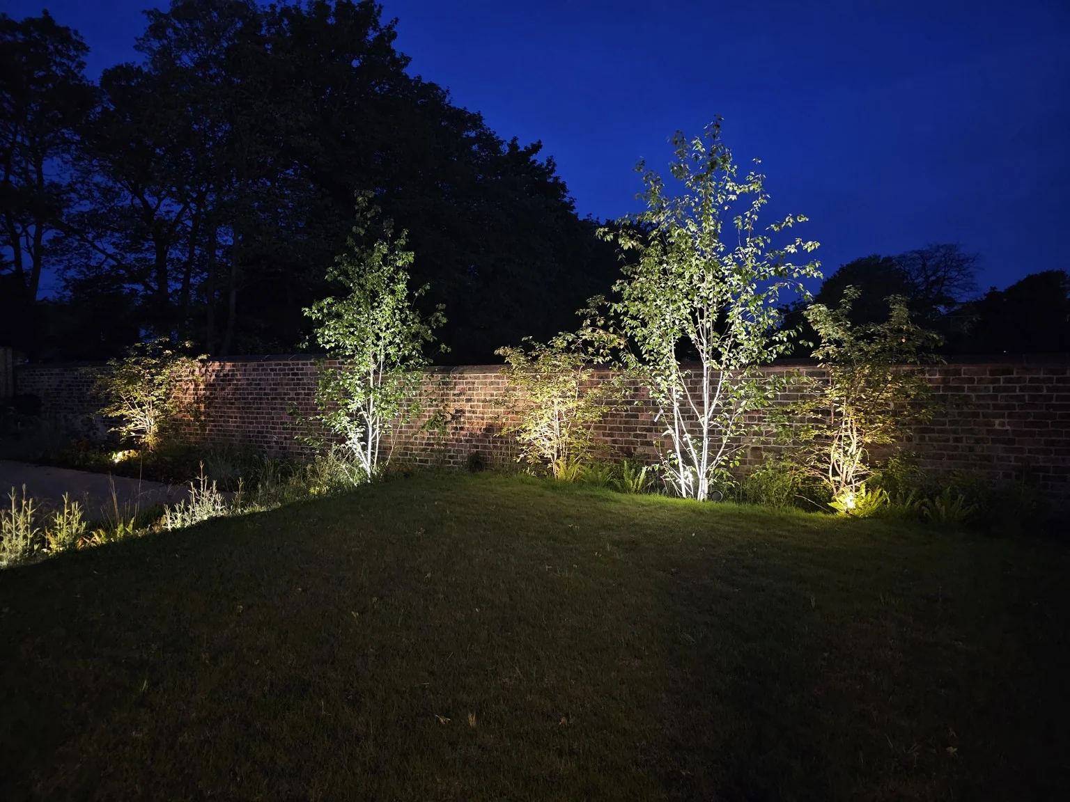 Garden trees uplighted against a brick boundary wall