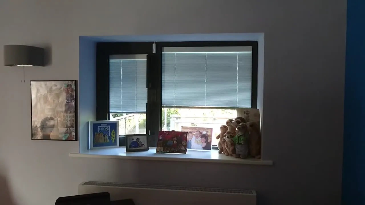 A window with a Venetian blind sealed inside the glazing